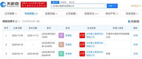 人人車關聯公司被限制消費 計算機軟硬件開發的挑戰與反思